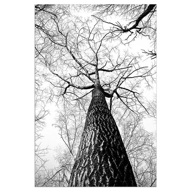 Black and White Winter Tree Wall Art - Scandinavian Style Canvas Print