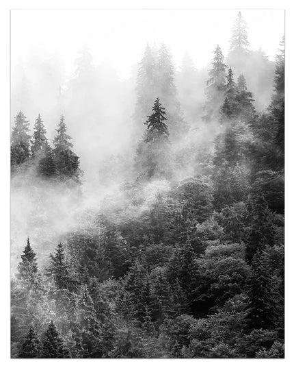 Black and White Winter Tree Wall Art - Scandinavian Style Canvas Print