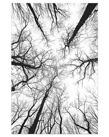 Black and White Winter Tree Wall Art - Scandinavian Style Canvas Print