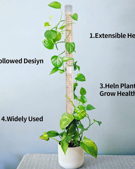 Stackable Plastic Plant Support Stakes - Self-Watering Moss Pole Trellis