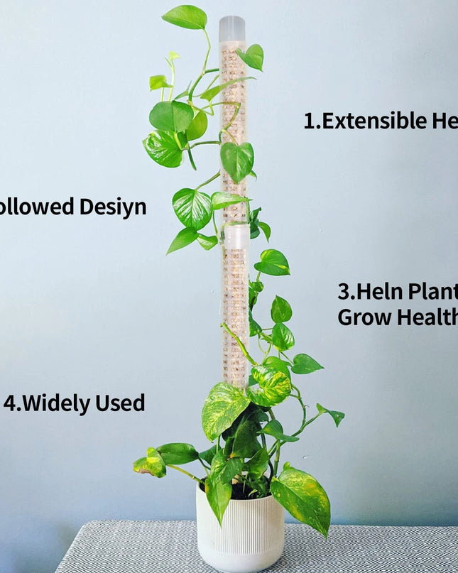 Stackable Plastic Plant Support Stakes - Self-Watering Moss Pole Trellis
