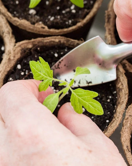 10/20PCS Biodegradable Nursery Seedling Cups - Ideal for Germination