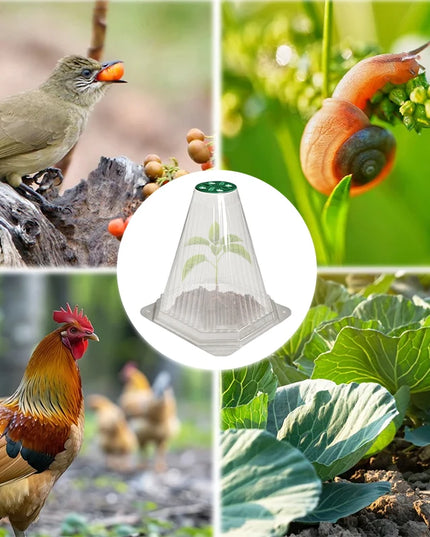 10/20PCS Cone Plant Seedling Protective Cover Nursery Seedling Planting Tent Reusable Anti-Bird Prevents Snail Damage Vegetable