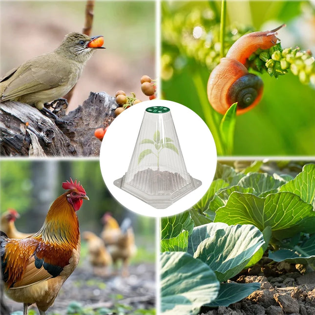 10/20PCS Cone Plant Seedling Protective Cover Nursery Seedling Planting Tent Reusable Anti-Bird Prevents Snail Damage Vegetable