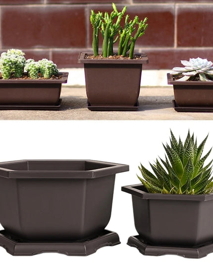 Purple Imitation Pottery Flowerpot - Square, Oval, Hexagonal Planters