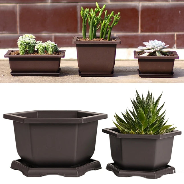 Purple Imitation Pottery Flowerpot - Square, Oval, Hexagonal Planters