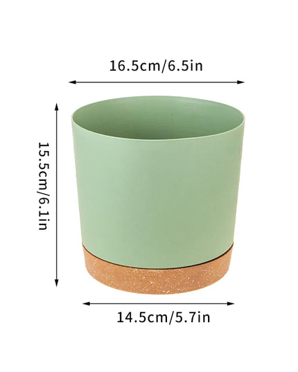 Large Indoor Succulent Planter - Circular Plastic Pot with Tray