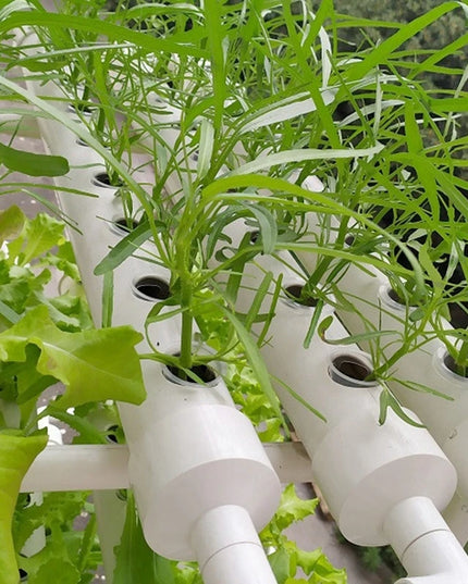 50Pcs Hydroponic Planting Basket Soilless Nursery Basket Vegetable Growing Nursery Cup Garden Hydroponic Vegetable Accessories