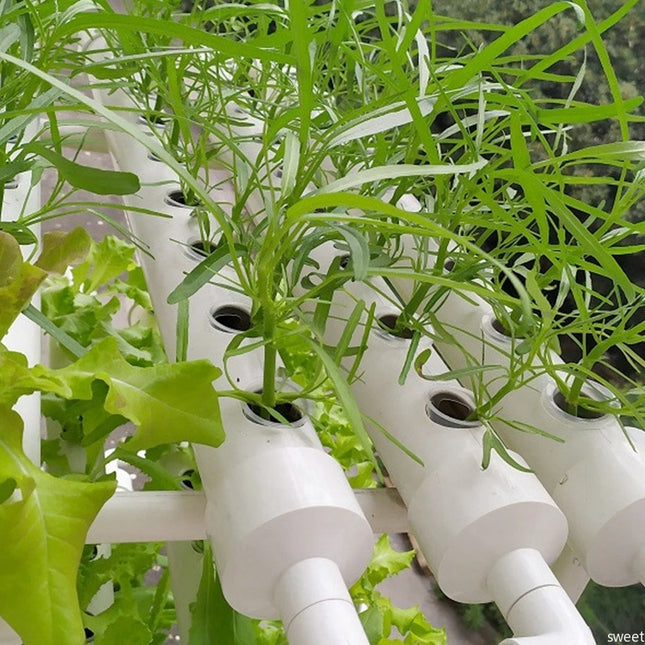 50Pcs Hydroponic Planting Basket Soilless Nursery Basket Vegetable Growing Nursery Cup Garden Hydroponic Vegetable Accessories