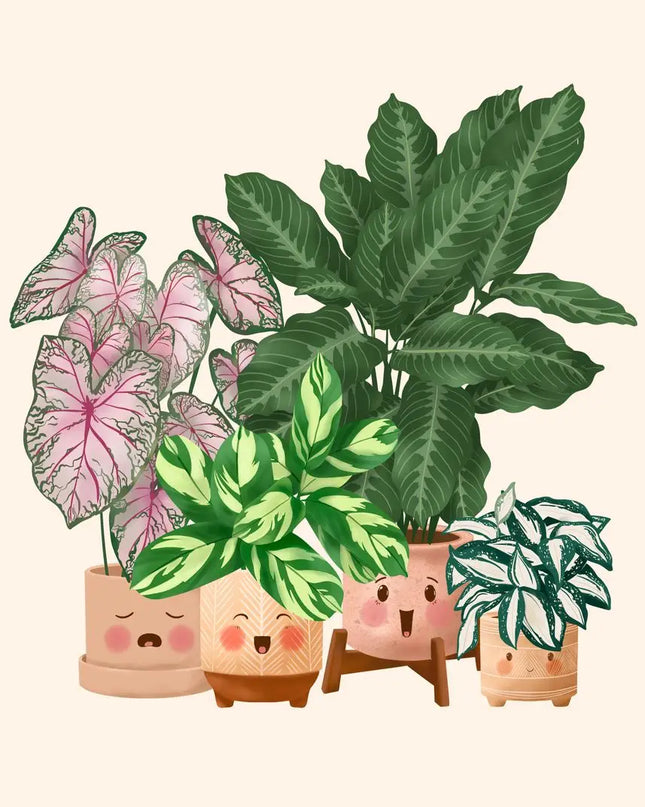 Cute Botanical Plant Club Canvas Poster - Modern Wall Art for Home Decor
