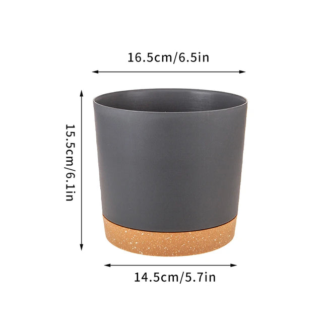 Large Indoor Succulent Planter - Circular Plastic Pot with Tray