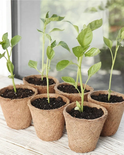 10/20PCS Biodegradable Nursery Seedling Cups - Ideal for Germination