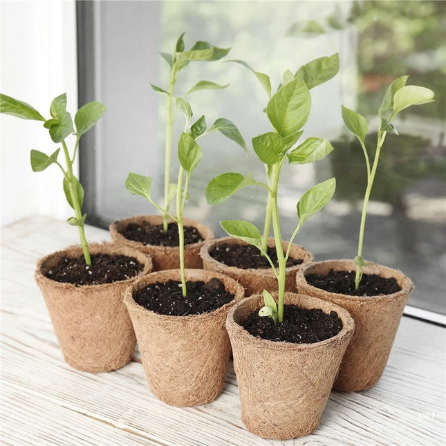 10/20PCS Biodegradable Nursery Seedling Cups - Ideal for Germination