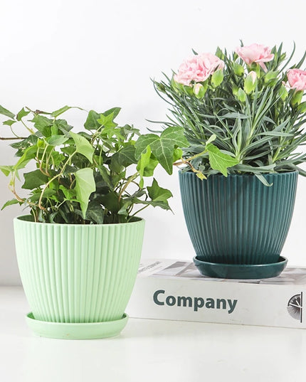 Plastic Flower Pot Succulent Plant Pot with Tray Green Dill Round Double Layer Small Flowerpot Home Office Desktop Decoration