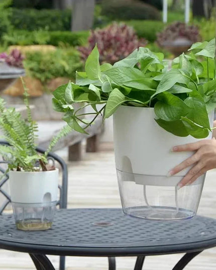 Self Watering Flower Pot Plastic Hydroponics Plants Pot Transparent Double Layer Cotton Rope Watering Succulent Potted Planters