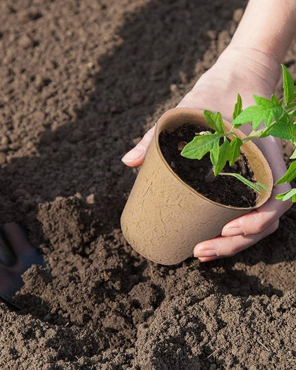 10/20PCS Biodegradable Nursery Seedling Cups - Ideal for Germination