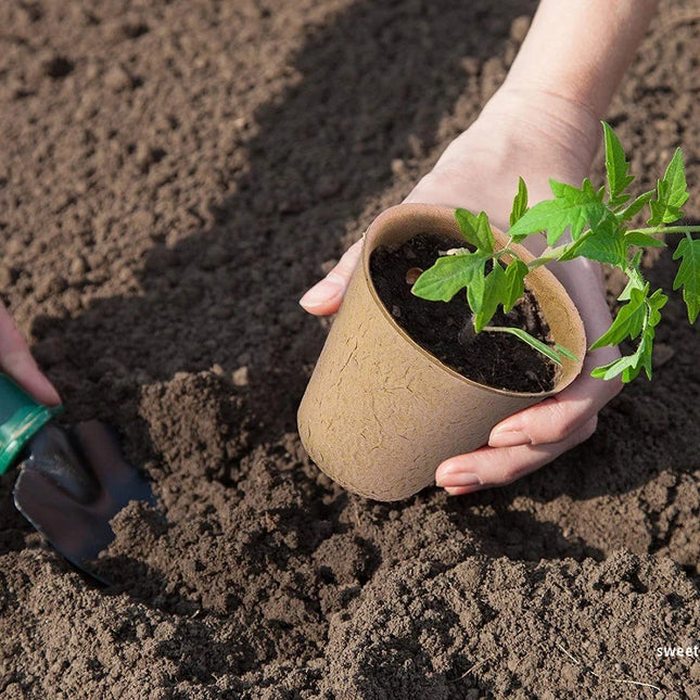 10/20PCS Biodegradable Nursery Seedling Cups - Ideal for Germination