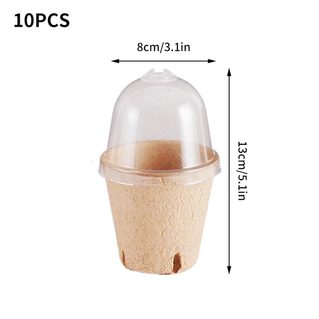 10/20PCS Biodegradable Nursery Seedling Cups - Ideal for Germination