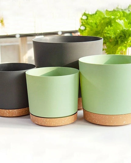 Large Indoor Succulent Planter - Circular Plastic Pot with Tray