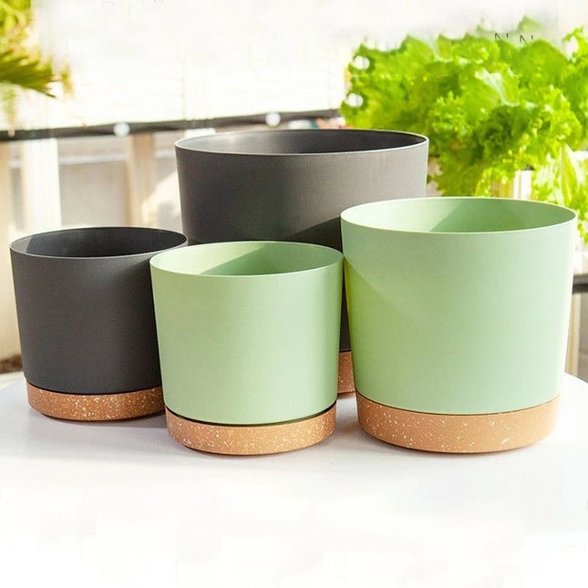 Large Indoor Succulent Planter - Circular Plastic Pot with Tray