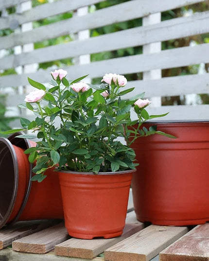 50/20pcs Plastic Flowerpots Simple Nursery Seedling Pot Flowers Seed Breeding Planters Container Box Garden Supplies Tool