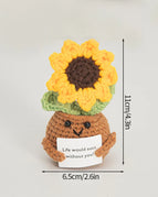 Sunflower potted