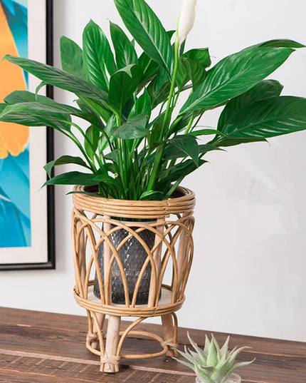 Ins Nordic Flower Pot Basket Wooden Flower Frame Indoor Outdoor Flower Pot Stand Living Room Green Plant Flower Pot Container
