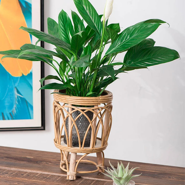 Ins Nordic Flower Pot Basket Wooden Flower Frame Indoor Outdoor Flower Pot Stand Living Room Green Plant Flower Pot Container