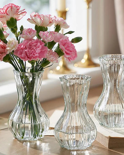 Glass Transparent Flower Vase Retro Hydroponics Plants Pot Clear Flower Container Flowers Arrangement Bottle Table Decoration