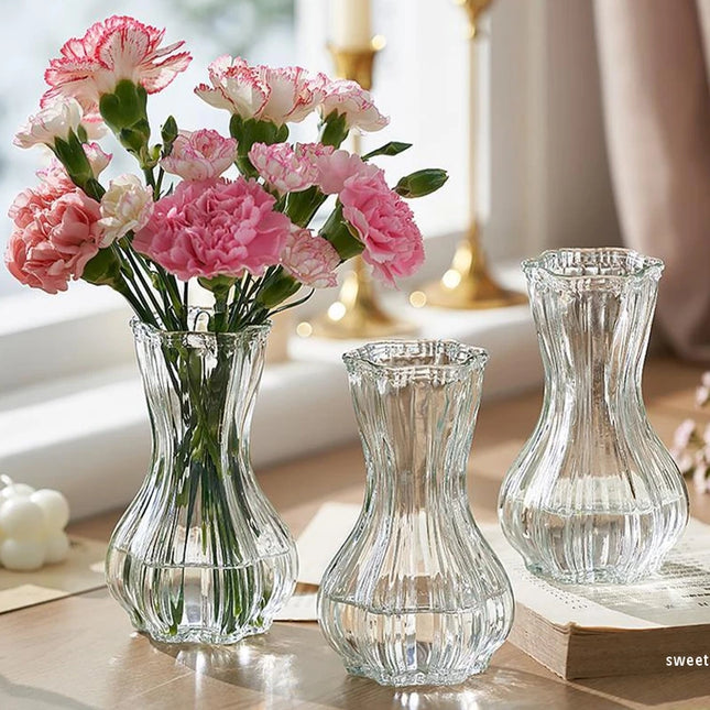 Glass Transparent Flower Vase Retro Hydroponics Plants Pot Clear Flower Container Flowers Arrangement Bottle Table Decoration