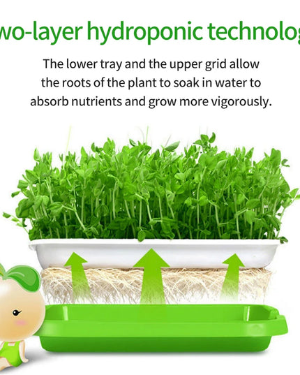 Hydroponic Bean Sprout Germination Tray with Lid - Plastic Seedling Pot
