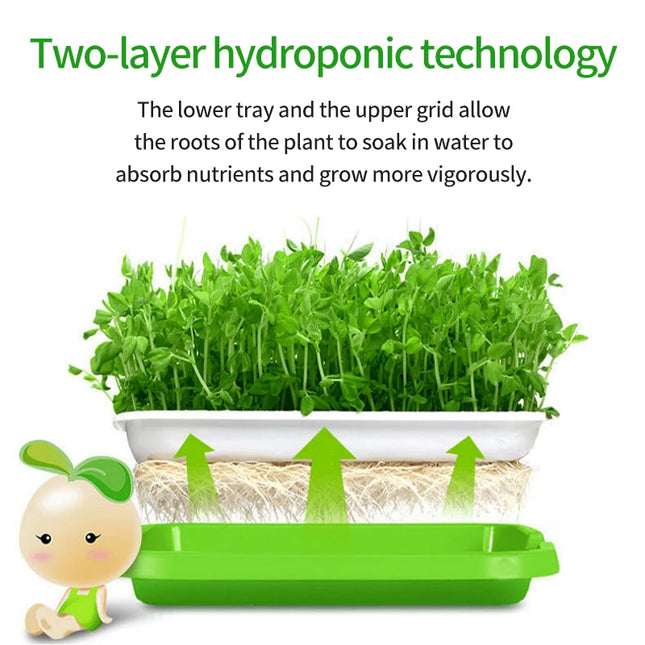 Hydroponic Bean Sprout Germination Tray with Lid - Plastic Seedling Pot