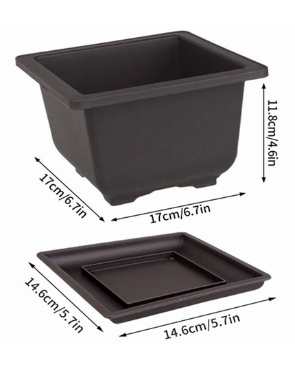 Purple Imitation Pottery Flowerpot - Square, Oval, Hexagonal Planters