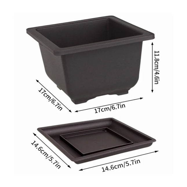 Purple Imitation Pottery Flowerpot - Square, Oval, Hexagonal Planters