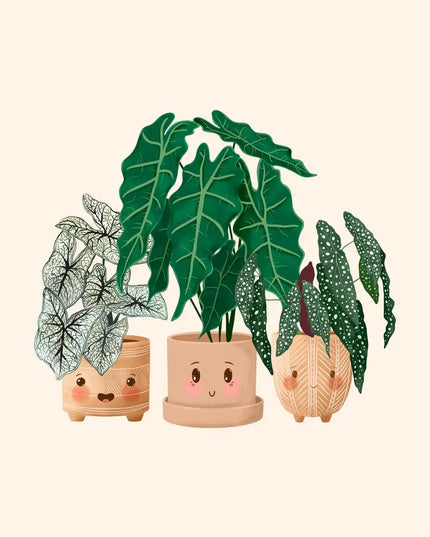 Cute Botanical Plant Club Canvas Poster - Modern Wall Art for Home Decor