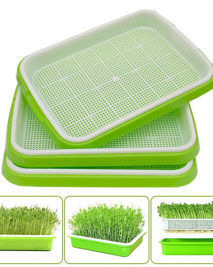 Hydroponic Bean Sprout Germination Tray with Lid - Plastic Seedling Pot