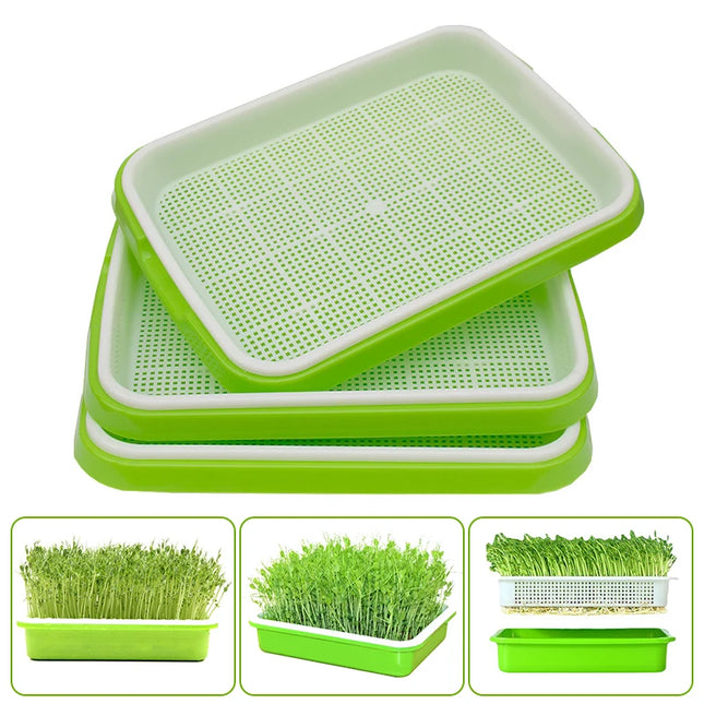 Hydroponic Bean Sprout Germination Tray with Lid - Plastic Seedling Pot