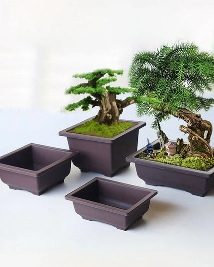 Purple Imitation Pottery Flowerpot - Square, Oval, Hexagonal Planters