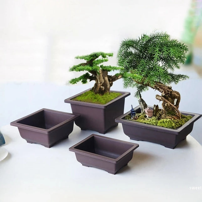 Purple Imitation Pottery Flowerpot - Square, Oval, Hexagonal Planters