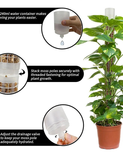 Stackable Plastic Plant Support Stakes - Self-Watering Moss Pole Trellis