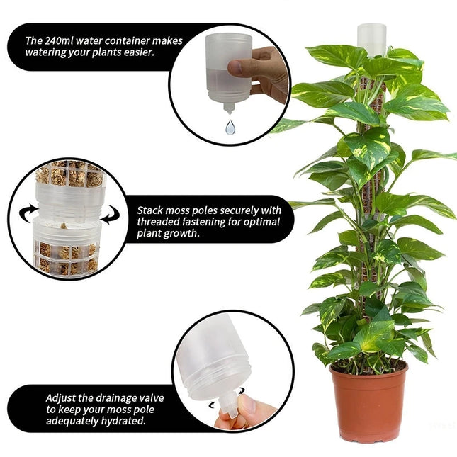 Stackable Plastic Plant Support Stakes - Self-Watering Moss Pole Trellis