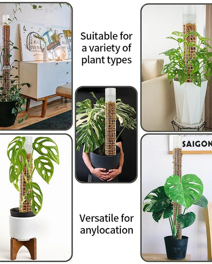 Stackable Plastic Plant Support Stakes - Self-Watering Moss Pole Trellis