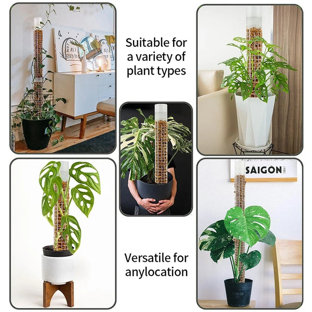 Stackable Plastic Plant Support Stakes - Self-Watering Moss Pole Trellis