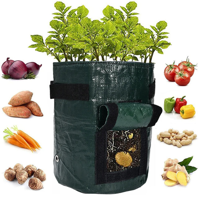 1PC Potato Grow Bag PE Vegetable Onion Planting Bag with Handle Thickened Garden Carrot Taro Peanut Growing Bag Waterproof
