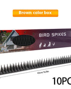Black10PCS