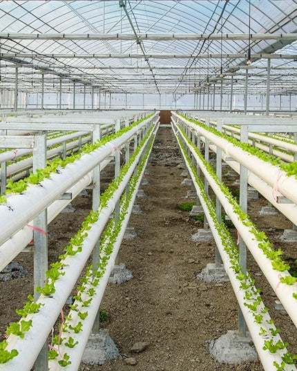 50Pcs Hydroponic Planting Basket Soilless Nursery Basket Vegetable Growing Nursery Cup Garden Hydroponic Vegetable Accessories