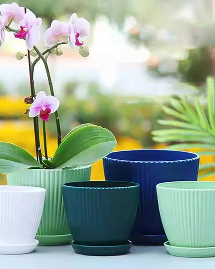 Plastic Flower Pot Succulent Plant Pot with Tray Green Dill Round Double Layer Small Flowerpot Home Office Desktop Decoration