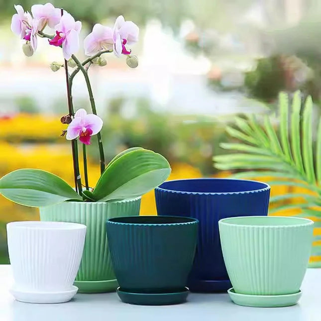 Plastic Flower Pot Succulent Plant Pot with Tray Green Dill Round Double Layer Small Flowerpot Home Office Desktop Decoration