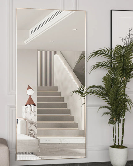 CASSILANDO Full Length Mirror 65" - Black Metal Frame Floor Standing
