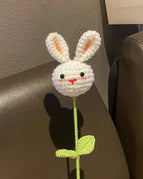 S6-rabbit